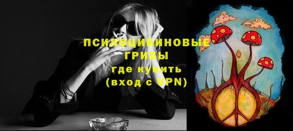 винт Алексин