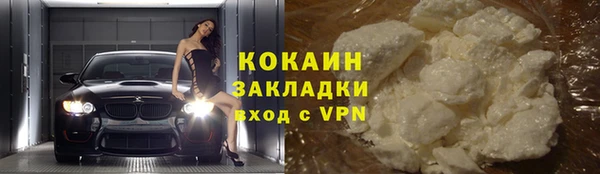 крисы Алзамай
