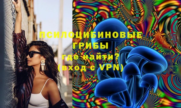 винт Алексин