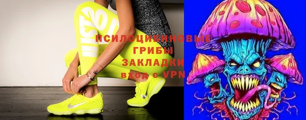 винт Алексин