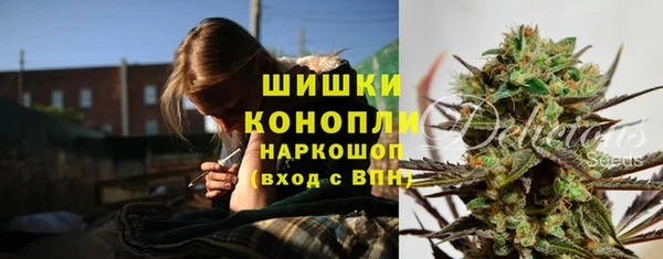 ПСИЛОЦИБИНОВЫЕ ГРИБЫ Абаза