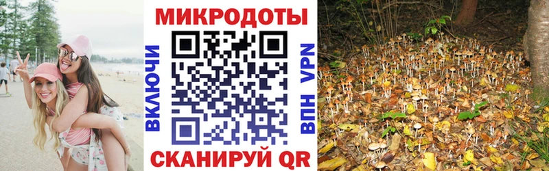 Галлюциногенные грибы мицелий  где можно купить   Сураж 